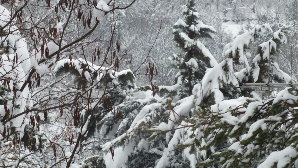 l'antenne fondue dan la neige