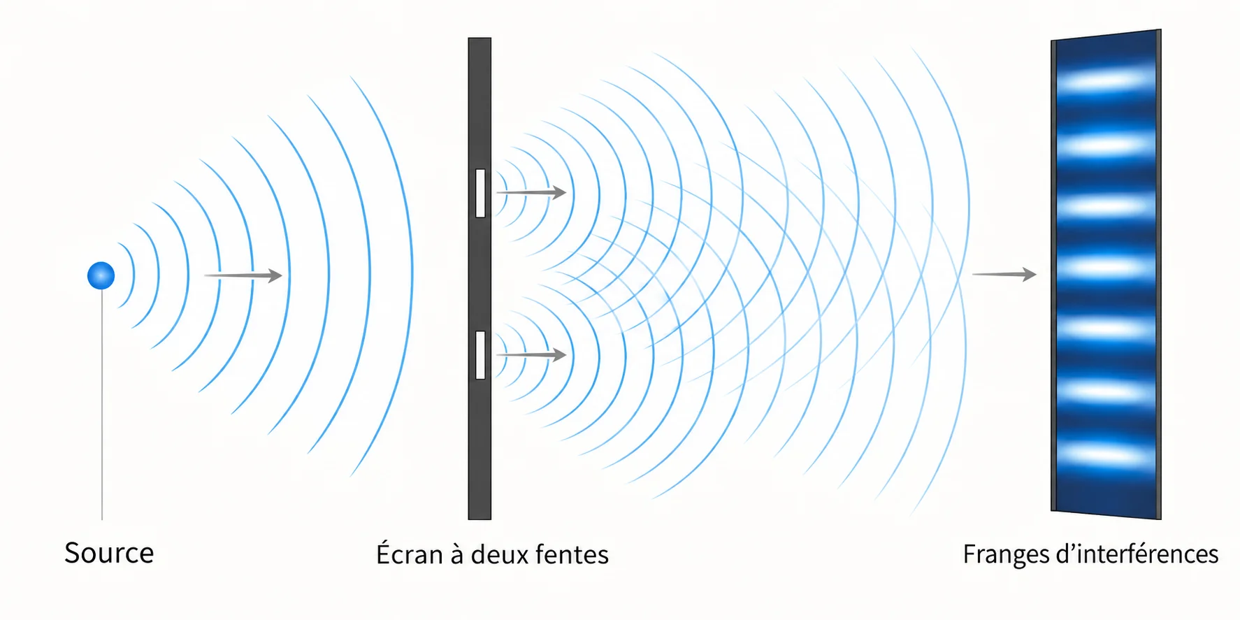Schéma de l’expérience de Young : une source, un écran percé de deux fentes et un écran d’observation présentant des franges d’interférences